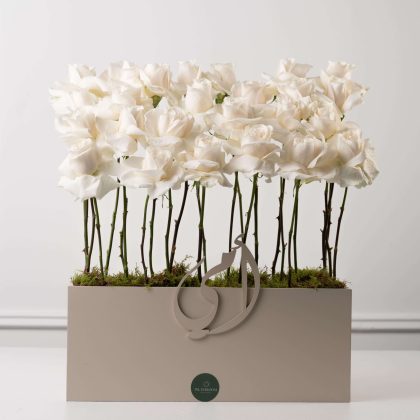 Mother’s day box