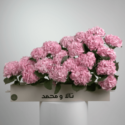 Pink cloud