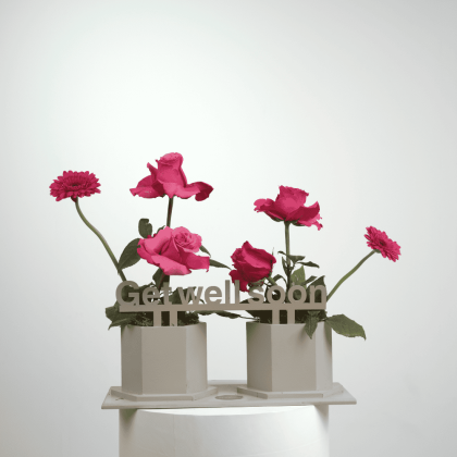 Fushia mix get well soon