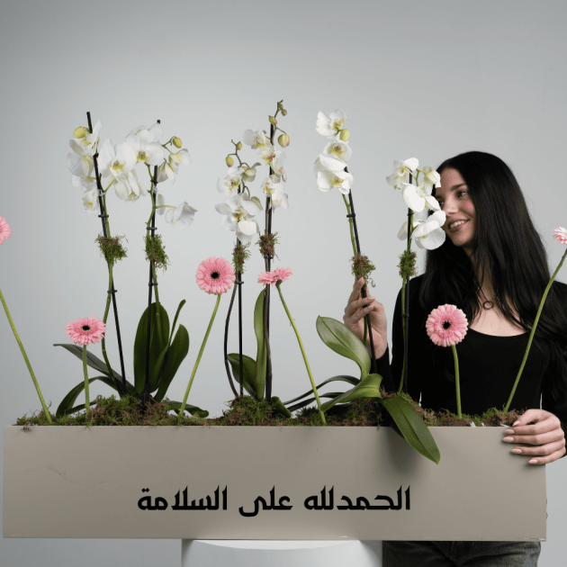The one meter orchid