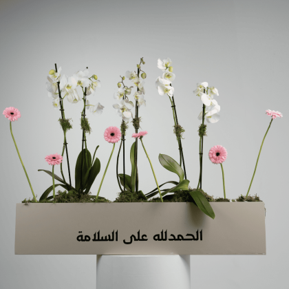 The one meter orchid