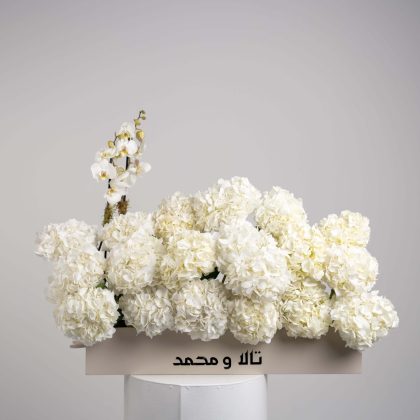 Orchid with dozen white