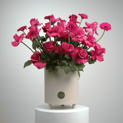 Fushia round roses