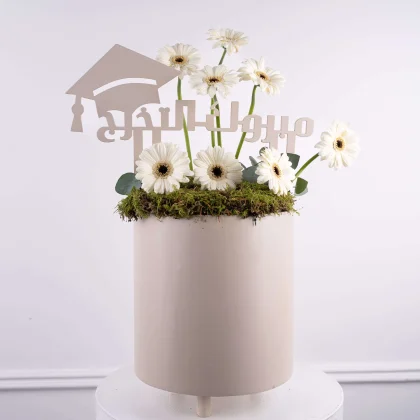 White gerbera cap