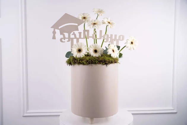 White gerbera cap