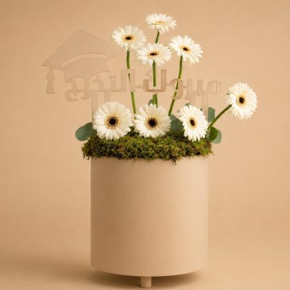 White gerbera cap