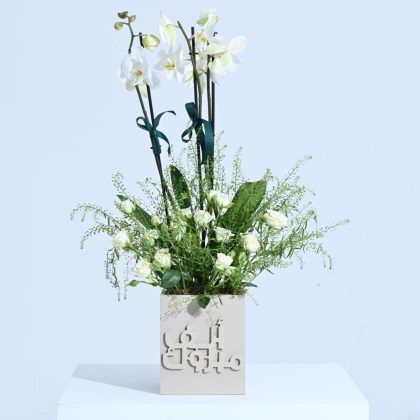 Alf Mabrook Single Orchid