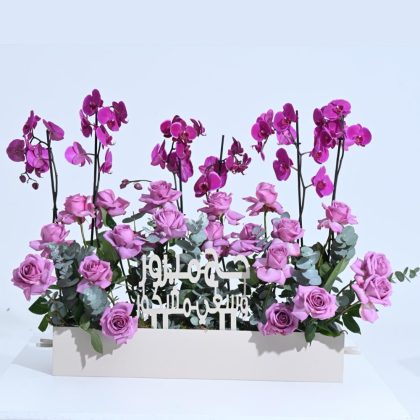Haj Orchid Plant Mix
