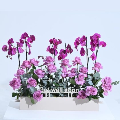 Get Well Soon Purple Plant