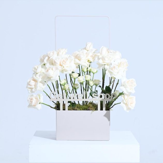 Get Well Soon White Bloom