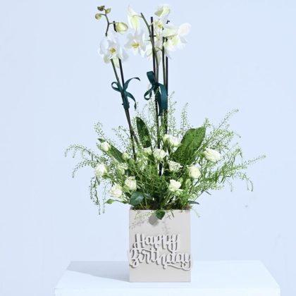 Birthday Single Orchid