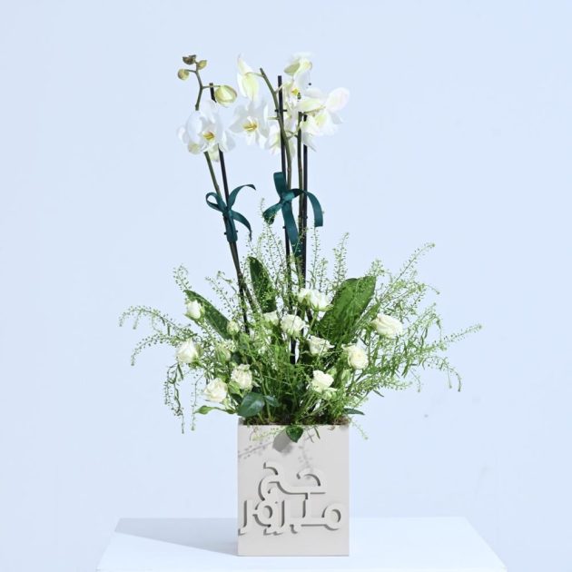 Haj Single Orchid