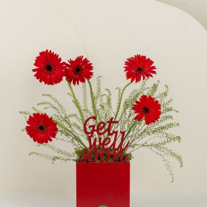 Get well soon red gerbera mix