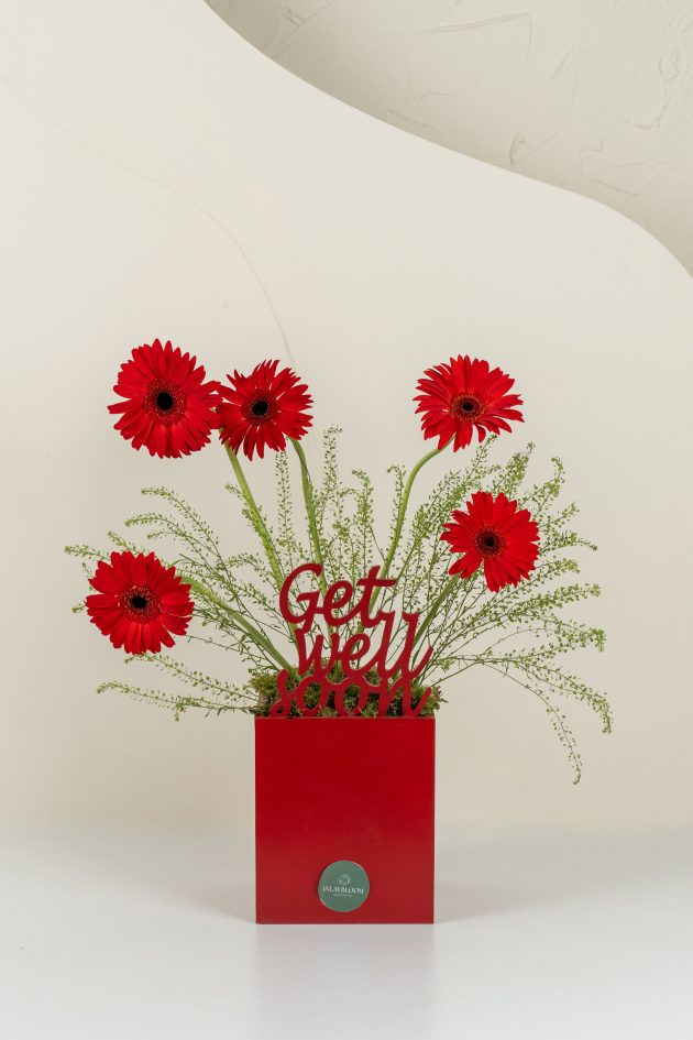 Get well soon red gerbera mix