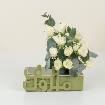 Green money box