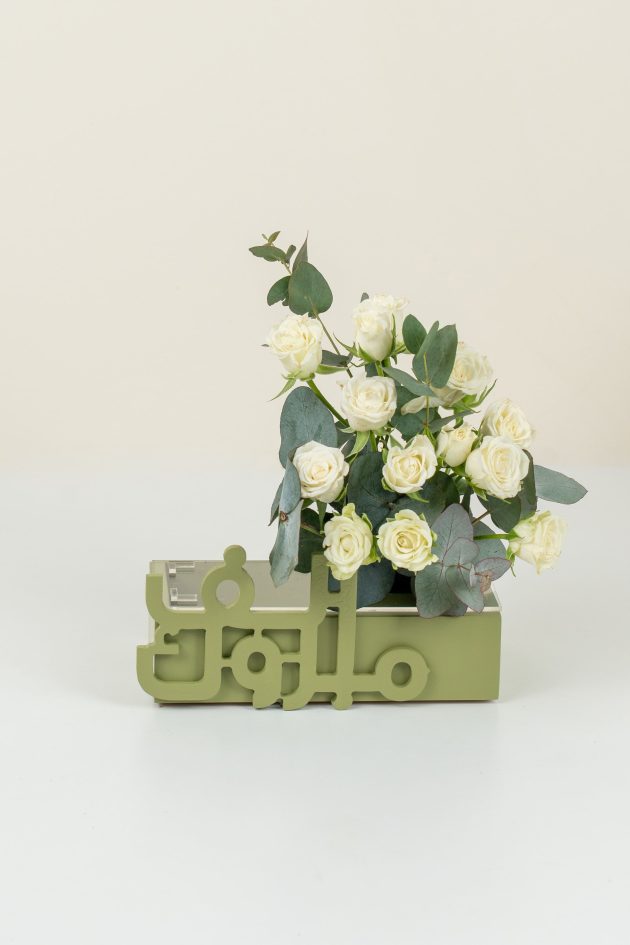 Green money box