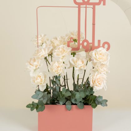 Peach Alfmabrook white roses