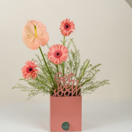 Peach getwellsoon gerbera mix