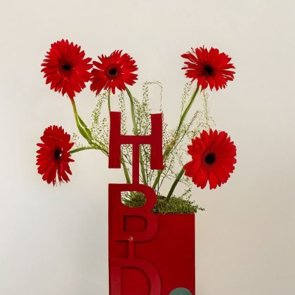 Red HBD mix of gerberas