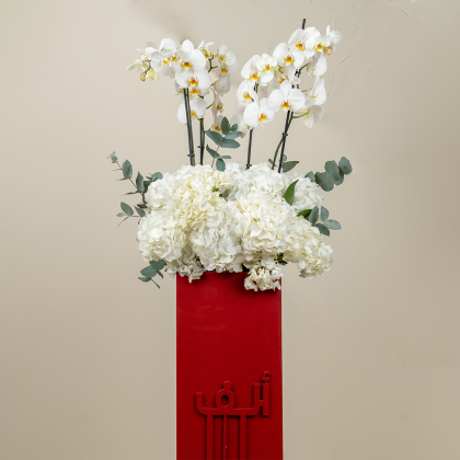 1m red Alf mabrook mix