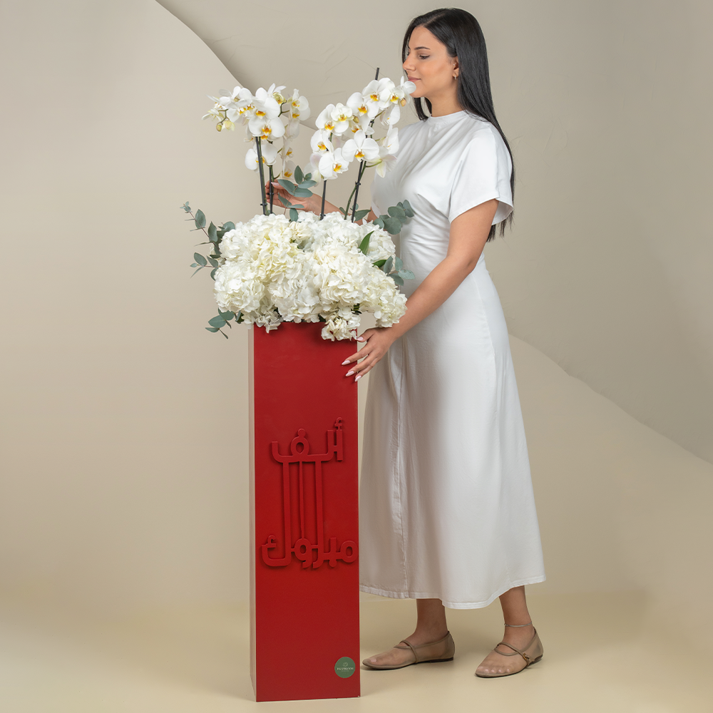 1m red Alf mabrook mix