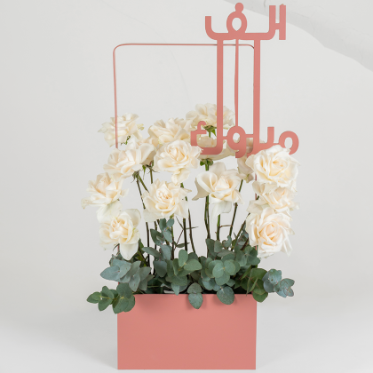 Peach alf mabrook roses