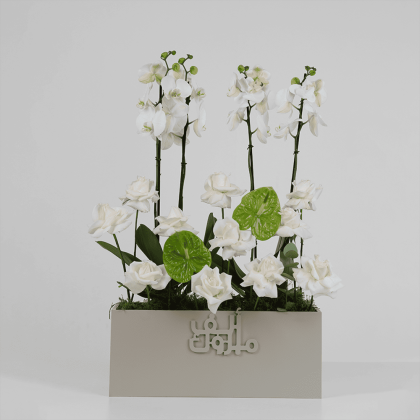 Orchids and Antheruim