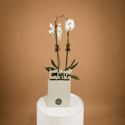 Bridal with orchids