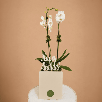HBD with orchids