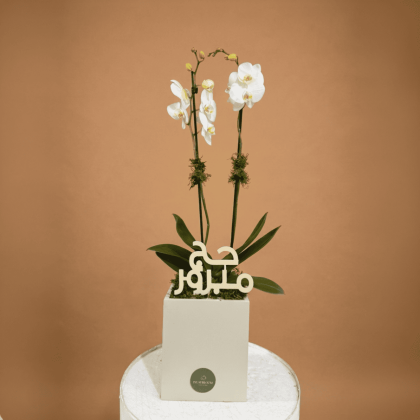 Haj with orchids