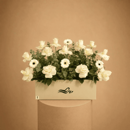 Mix of white gerberea