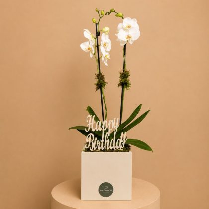 HBD with orchids