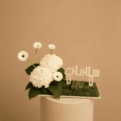 White petal tray