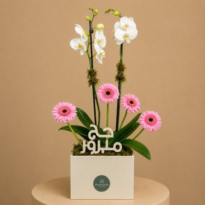 Haj with pink mix