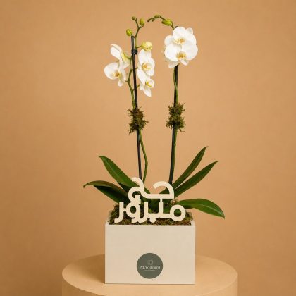 Haj with orchids