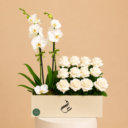 White orchid petal