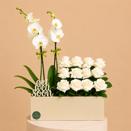 White orchid petal - get well soon