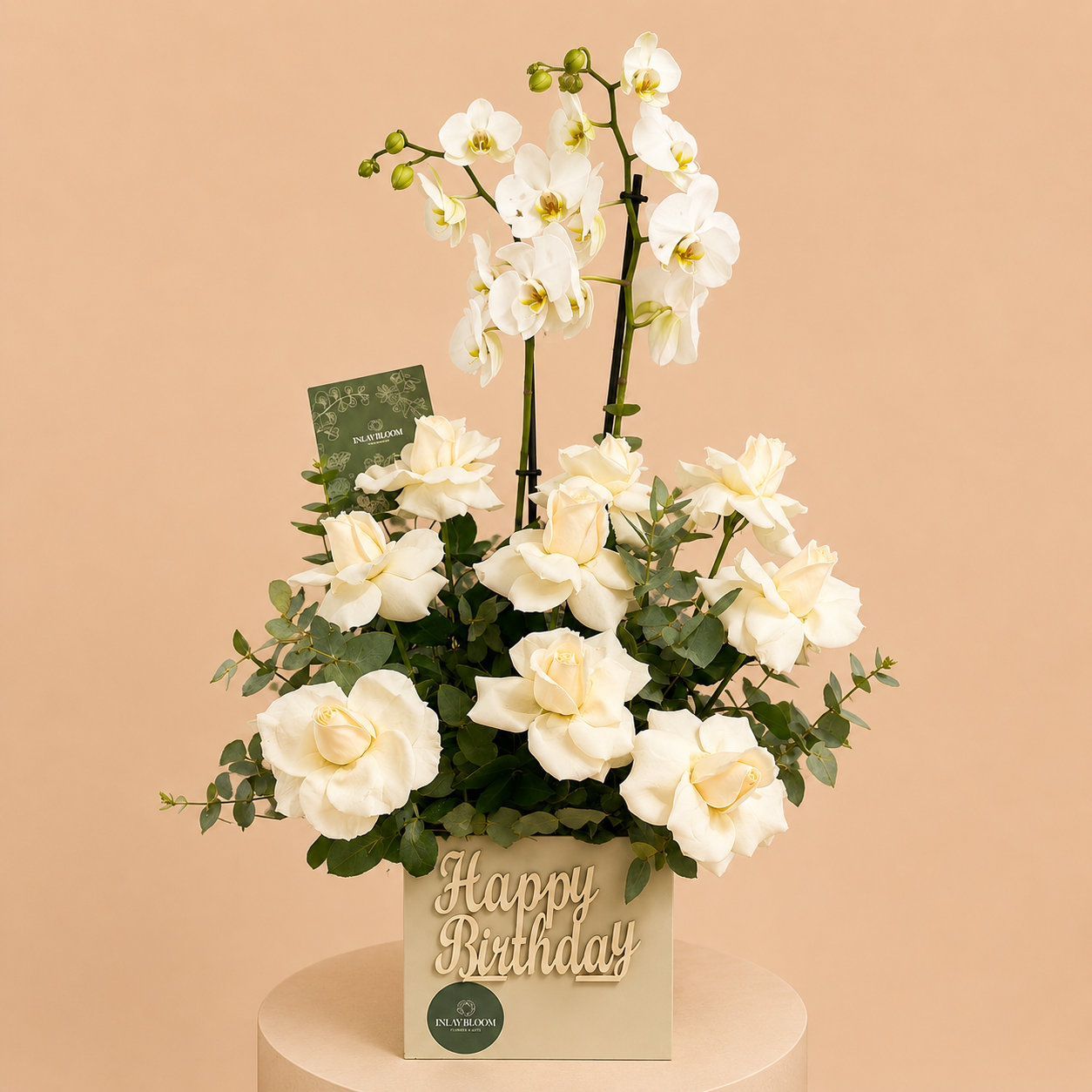 Birthday Orchid