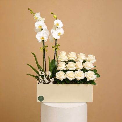 White Orchid HBD