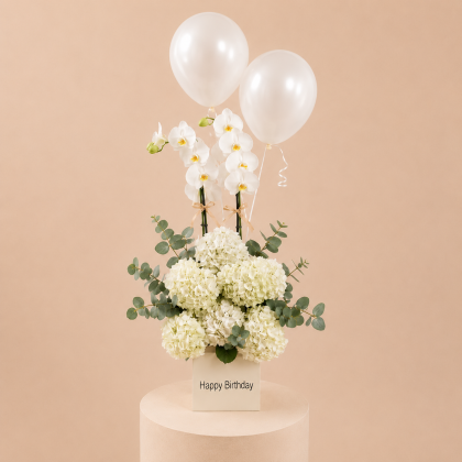 White balloon flowers