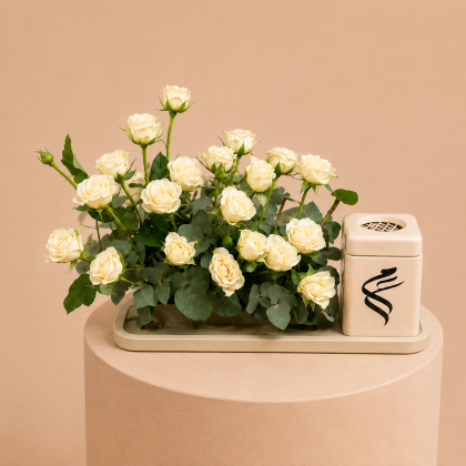 White mubkhar roses