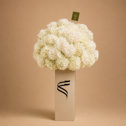 Hydrangea Cloud