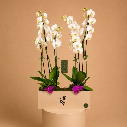 Double Orchids Basket