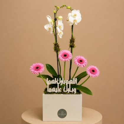 Pink Orchid Elegance