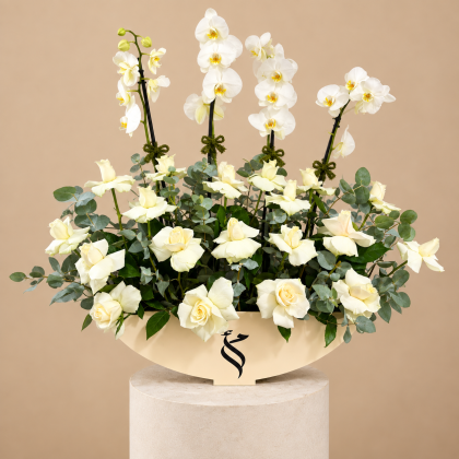 Bridal Orchids