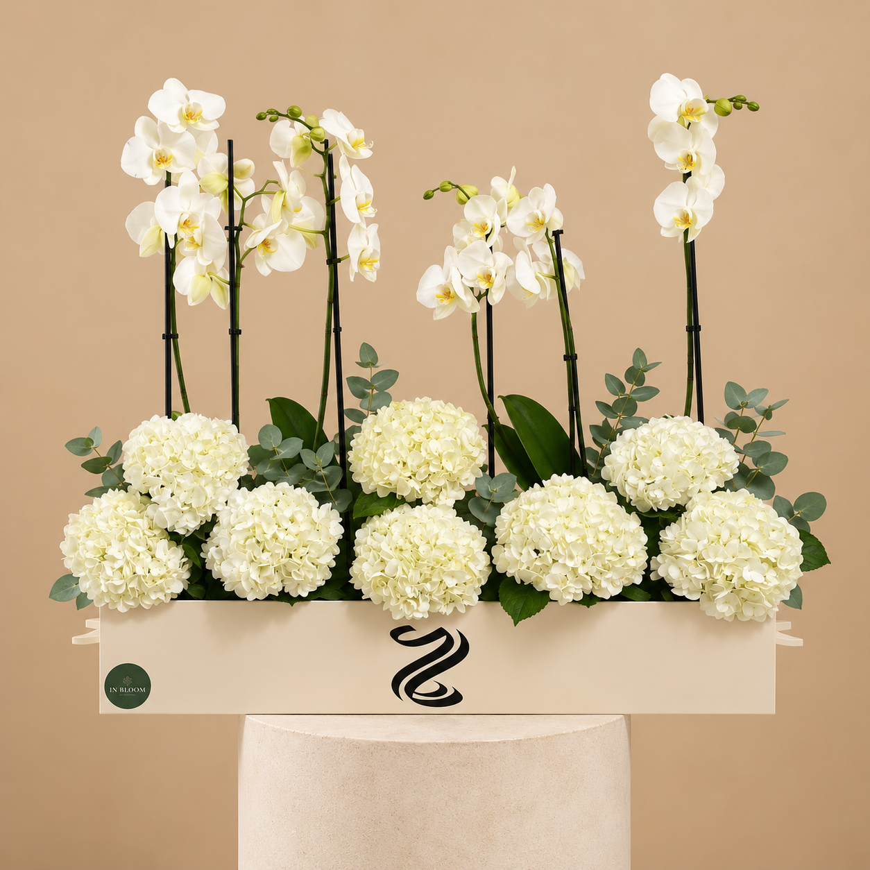 Bridal Orchids Blossoms