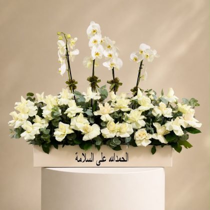 Orchids get well soon