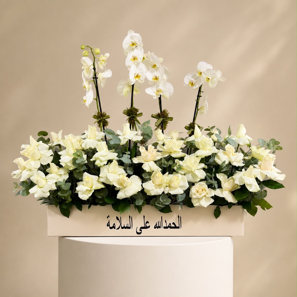 Orchids get well soon