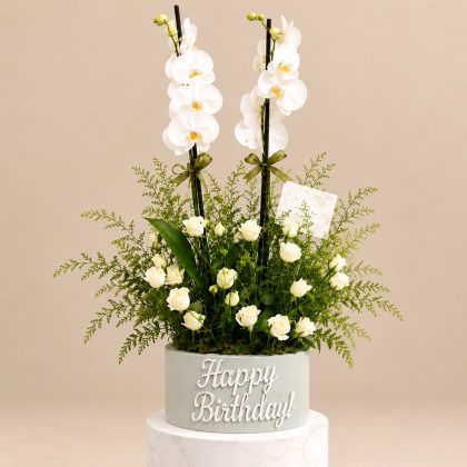 White Birthday Orchid